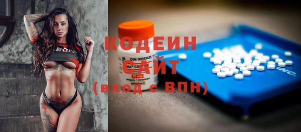 прущие грибы Елизово