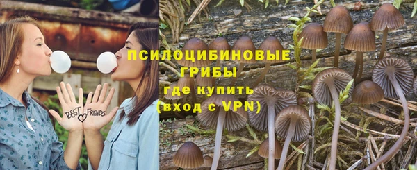 мдпв Абдулино