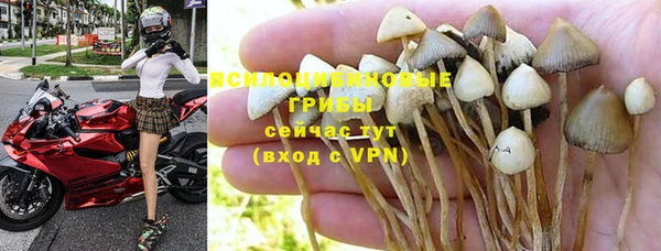 спиды Абинск